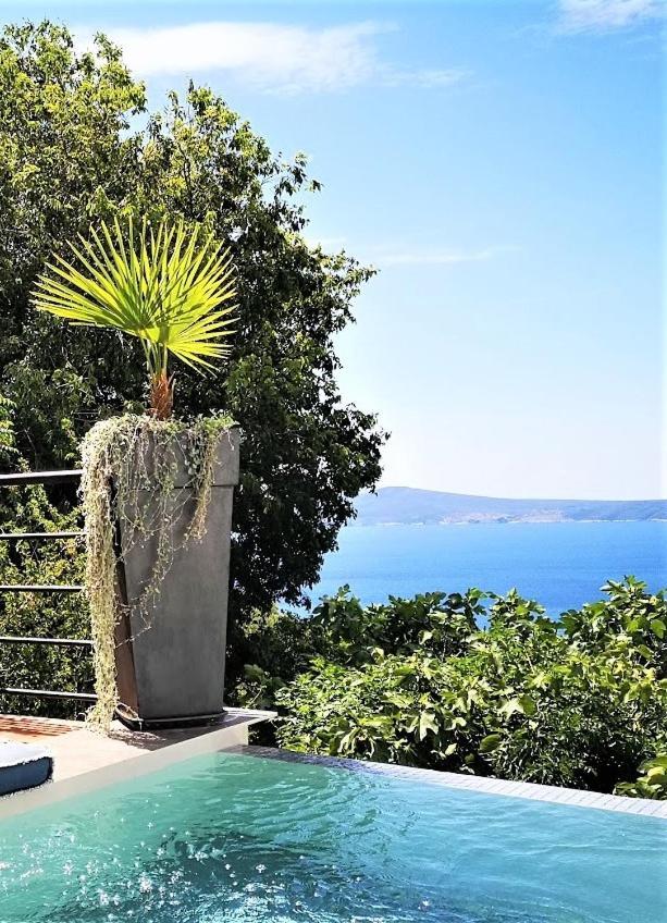 Art Gallery House With A Small Relaxing Pool Crikvenica Exteriör bild